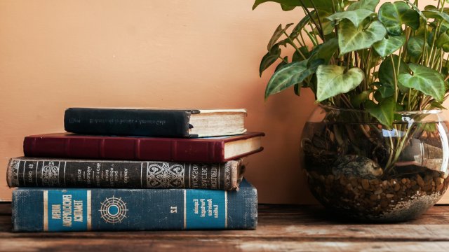 Enciclopedia dezbaterii.